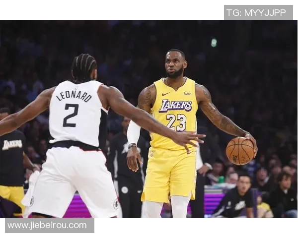 篮球明星的风采与传奇故事探秘各时代巨星的辉煌与挑战