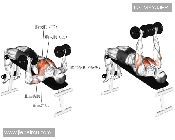 有效提升胸肌力量的哑铃练胸动作全解析与技巧分享